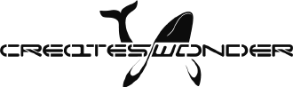 山东鲸奇设计有限公司LOGO